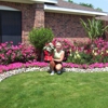 Coppell Lawn and Garden Inc gallery