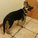 Your Family Veterinarian - Veterinary Clinics & Hospitals