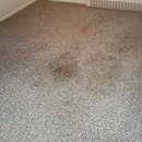 Rapid Dry Carpet Cleaning - Upholstery Cleaners