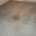 Rapid Dry Carpet Cleaning