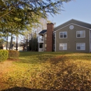 Bridgeport Apartments - Apartments