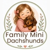 Family Mini Dachshunds gallery