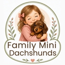 Family Mini Dachshunds