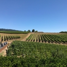 Adelsheim Vineyard