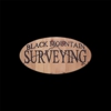 Black Mountain Surveying gallery