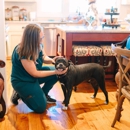 Pike Road Mobile Veterinary Services - Veterinarians