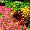 Gold & Green Landscape, LLC - Landscape Contractors