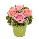 Davie Florist - Flowers, Plants & Trees-Silk, Dried, Etc.-Retail