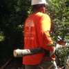 Southern Touch Tree Service, LLC gallery