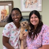 Acadiana West Animal Clinic gallery