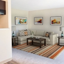 Weston Park Apartment Homes - Apartment Finder & Rental Service