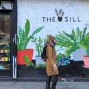 The Sill - Plants