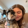 Top Dog Pet Sitters gallery