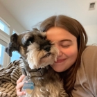Top Dog Pet Sitters