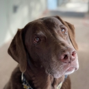 The Pet Clinic of Bradenton - Veterinarians