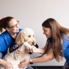 CityVet | Mansfield Veterinary Clinic & Urgent Care gallery