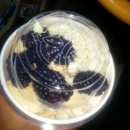 YogurtLand - Yogurt
