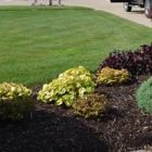 Marcelo's Landscaping