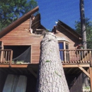 Adirondack Tree Surgeons Inc - Firewood