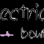 Electrique Boutique