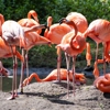 Holiday Inn Express & Suites Bronx - Zoo Area by IHG gallery