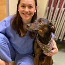 Adobe Veterinary Equine and Livestock Center - Veterinarians