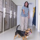 Abbott Animal Hospital - Pet Boarding & Kennels