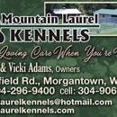 Mountain Laurel Kennels - Pet Sitting & Exercising Services