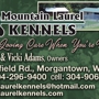Mountain Laurel Kennels