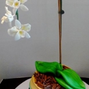 Parkside Cakery - CLOSED