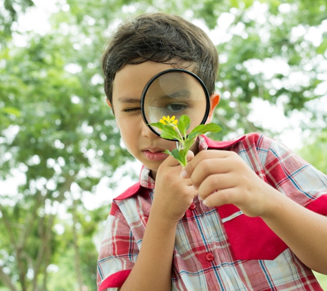 The Discovery Garden Early Education, Care and Preschool - Floraville, NSW