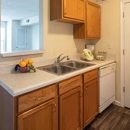 Victory Square Apartments - Real Estate Rental Service