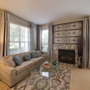 The Michelle Chase Real Estate Team - Real Estate Agents