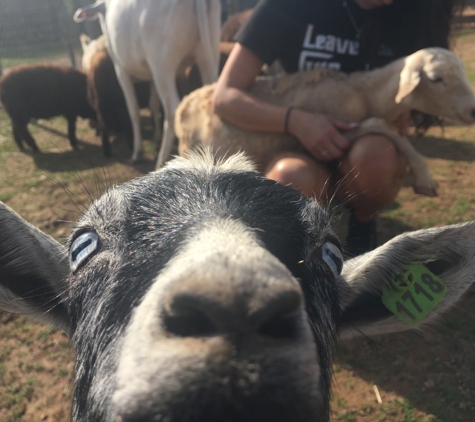 Leesburg Animal Park - Leesburg, VA