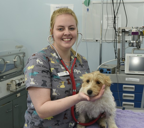 Cooper Street Veterinary Hospital - Cootamundra, NSW