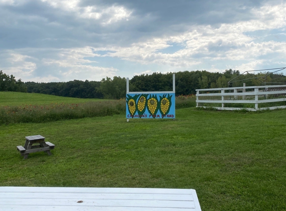 Calhoun's Farm Stand - Troy, NY