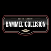 Bammel Collision gallery