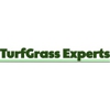 TurfGrass Experts gallery