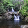 Pocono Environmental Education Center