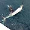 Sweet Relief Fishing Charters gallery
