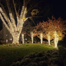 Light DMV - Home Decor