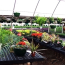 Greenway Nursery & Landscaping - Garden Centers