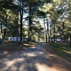 Ausable Pines Campground & RV gallery