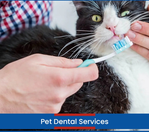 Wetherill Park Vet Clinic - Wetherill Park, NSW. Pet Dental Services
