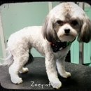 4 Pawz Mobile Spa - Pet Grooming