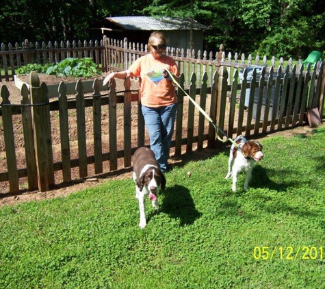 Dog Walkers & More at Coddle Creek, LLC - Mooresville, NC