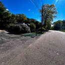 Reilly Tree & Landscape - Tree Service