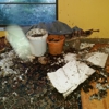 Nutech Roofing and Construction gallery