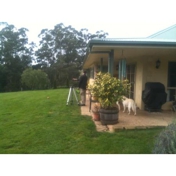 Gallery Image Number 7