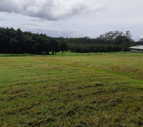 Alstonville Slashing Service - Lennox Head, NSW